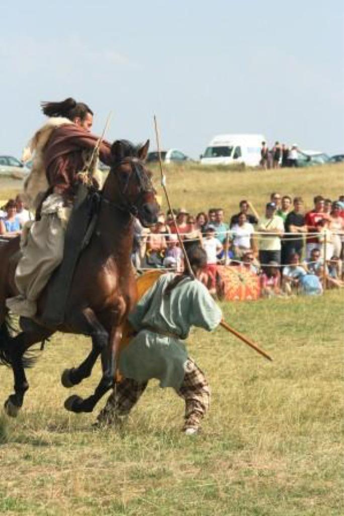 arv2006-Cavalier gaulois3.jpg