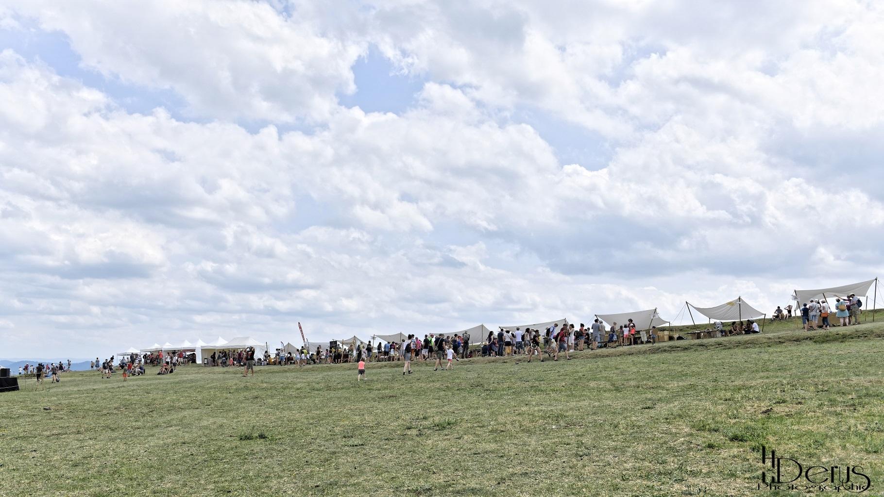 arv2019-HD-3431.jpg