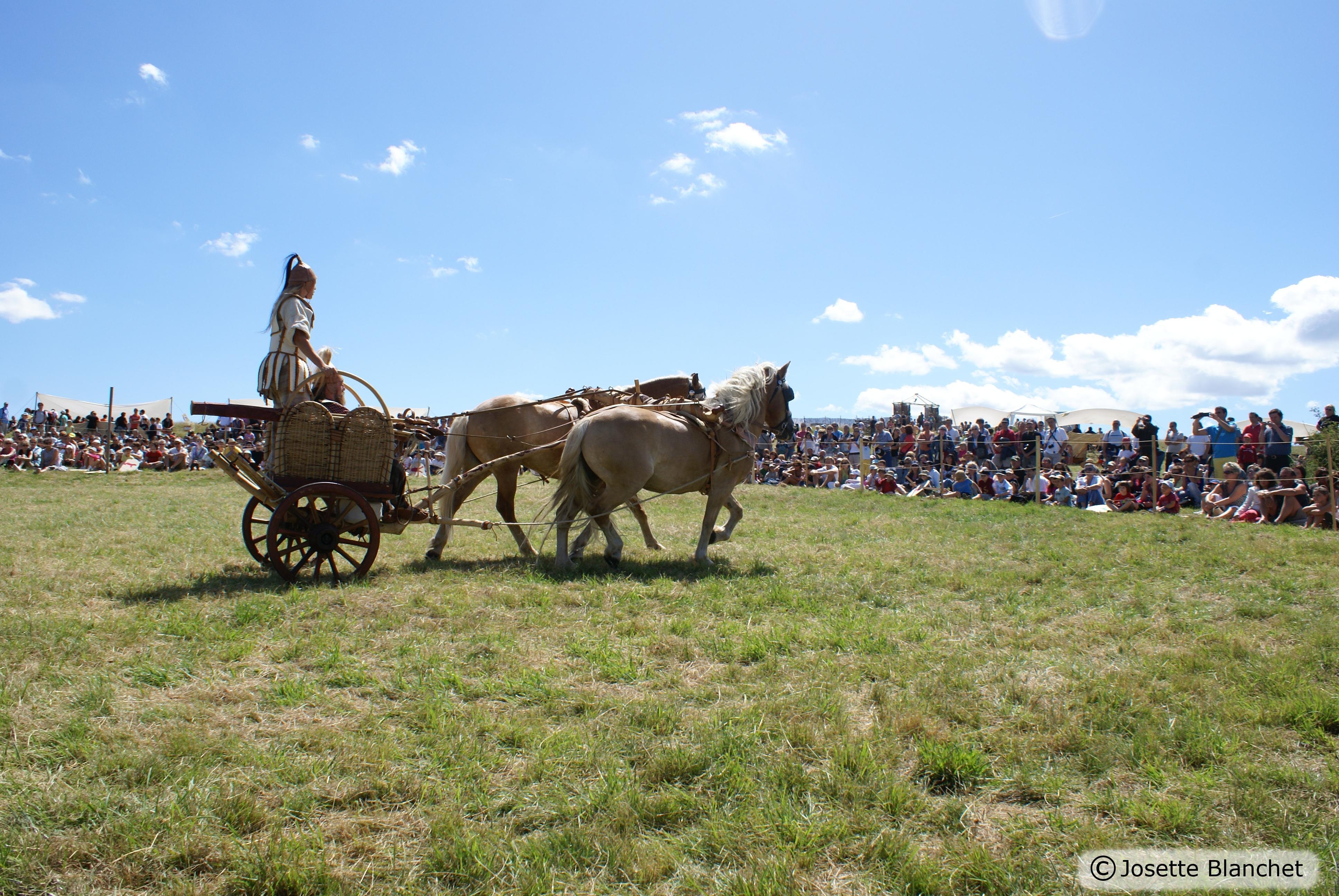 arv2009-DSC07120.jpg