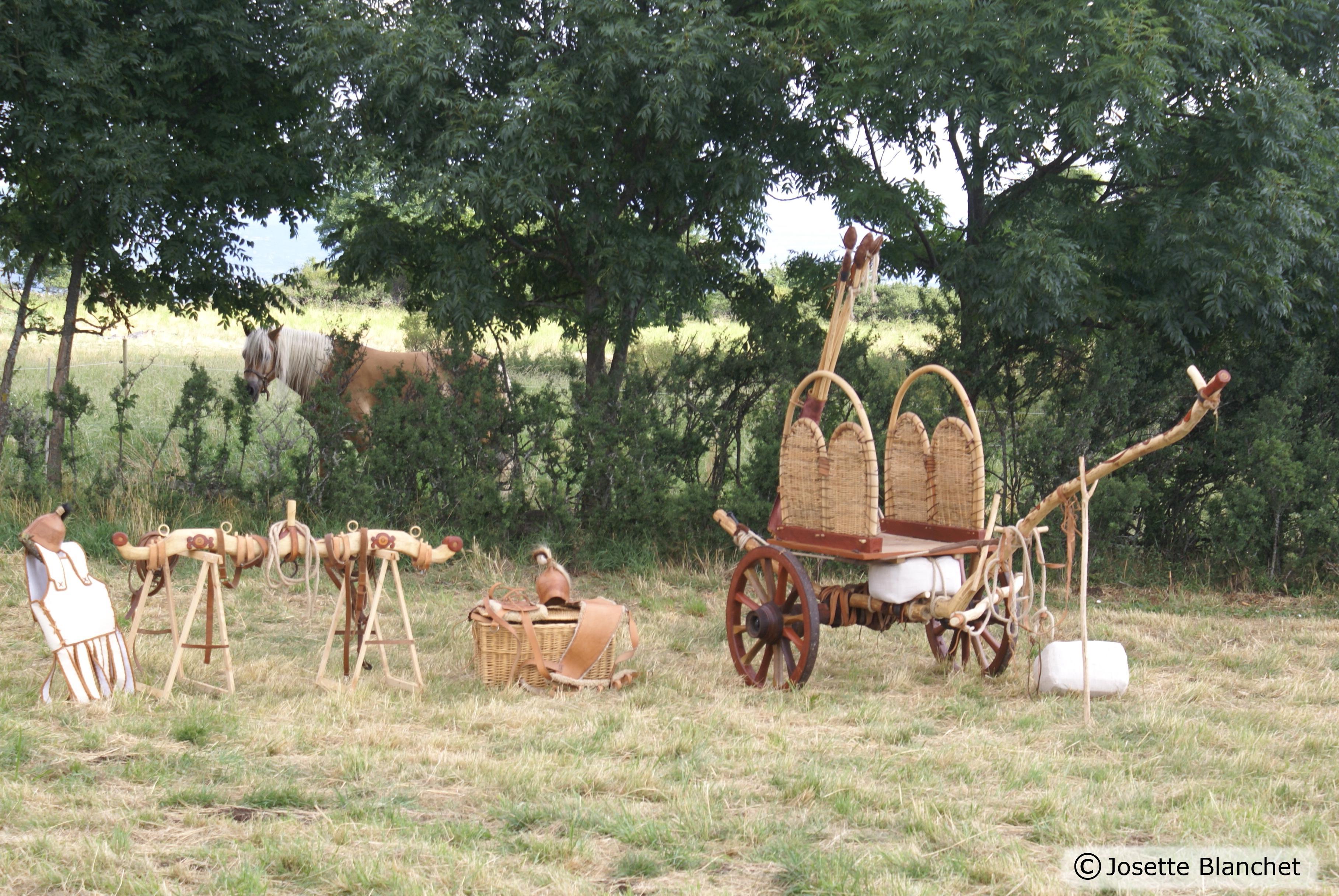 arv2009-DSC06970.jpg