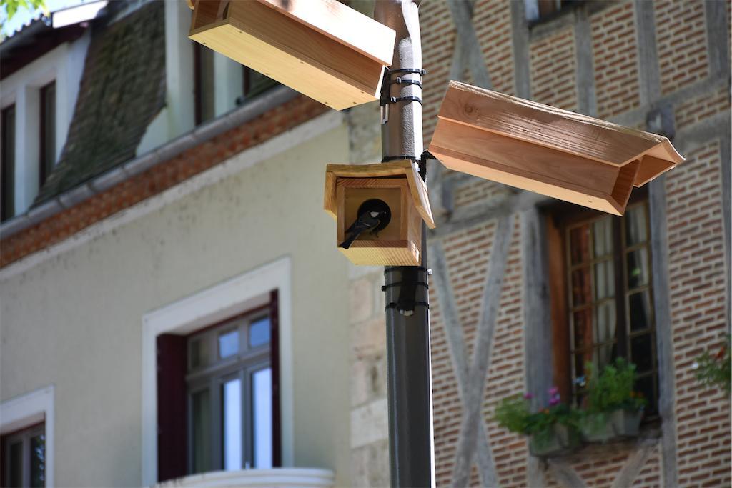 2021-rieuxDSC_0439.jpg