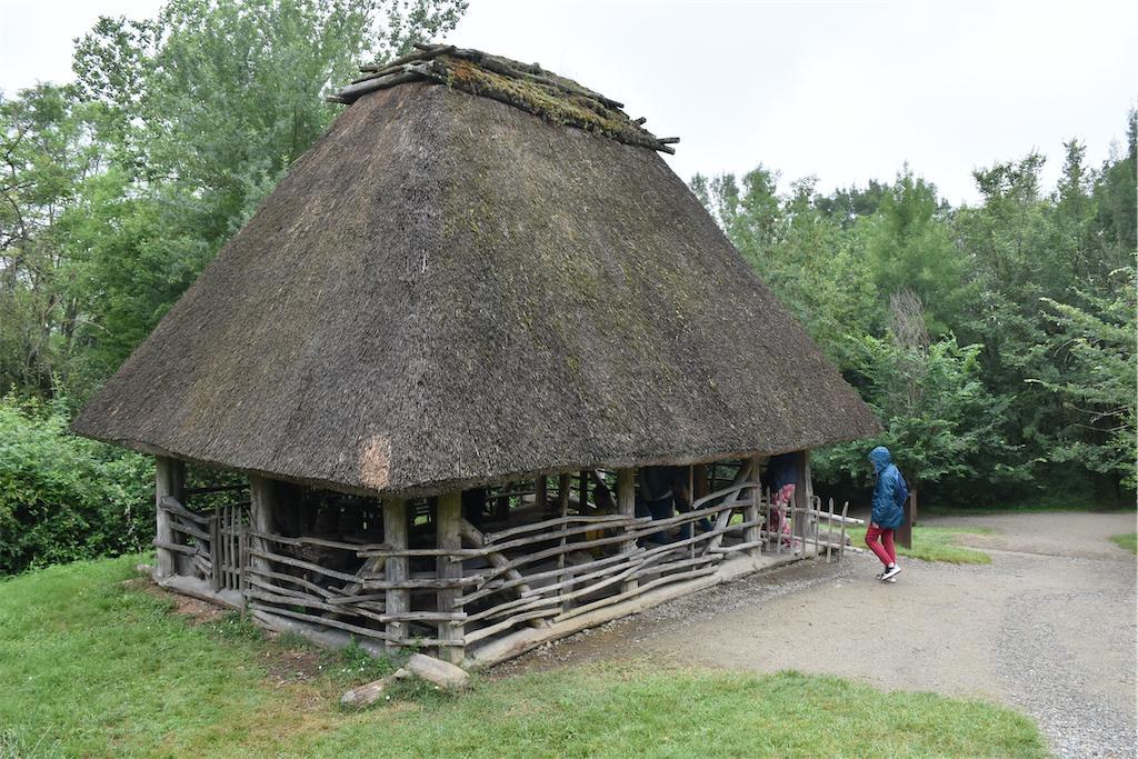 2021-rieuxDSC_0538.jpg